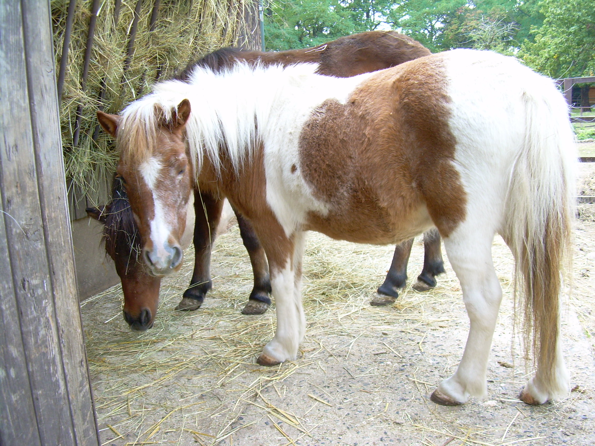 DSCN0949.JPG